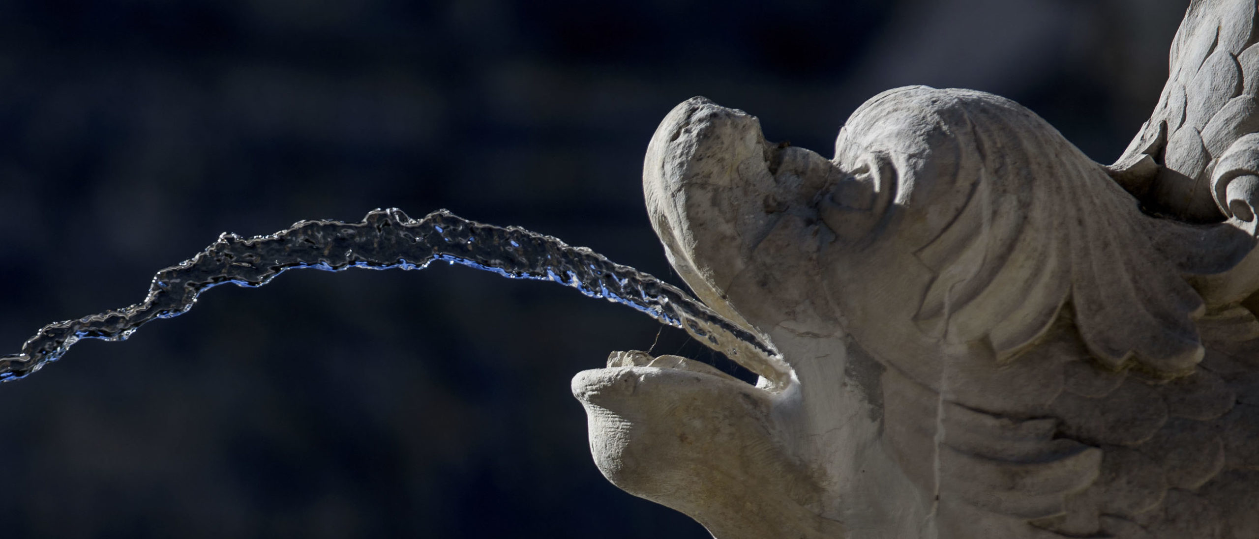  Casa Museu Bissaya Barreto